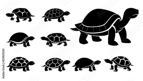 set of tortoise silhouette vector design