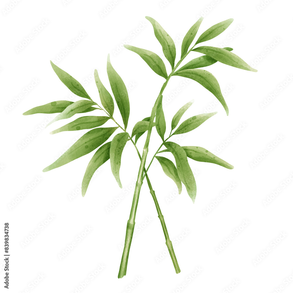 bamboo leaf bamboo leaf