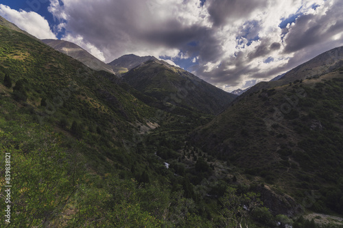 panorama with a view of a green gorge in the mountains with a cloudy sky