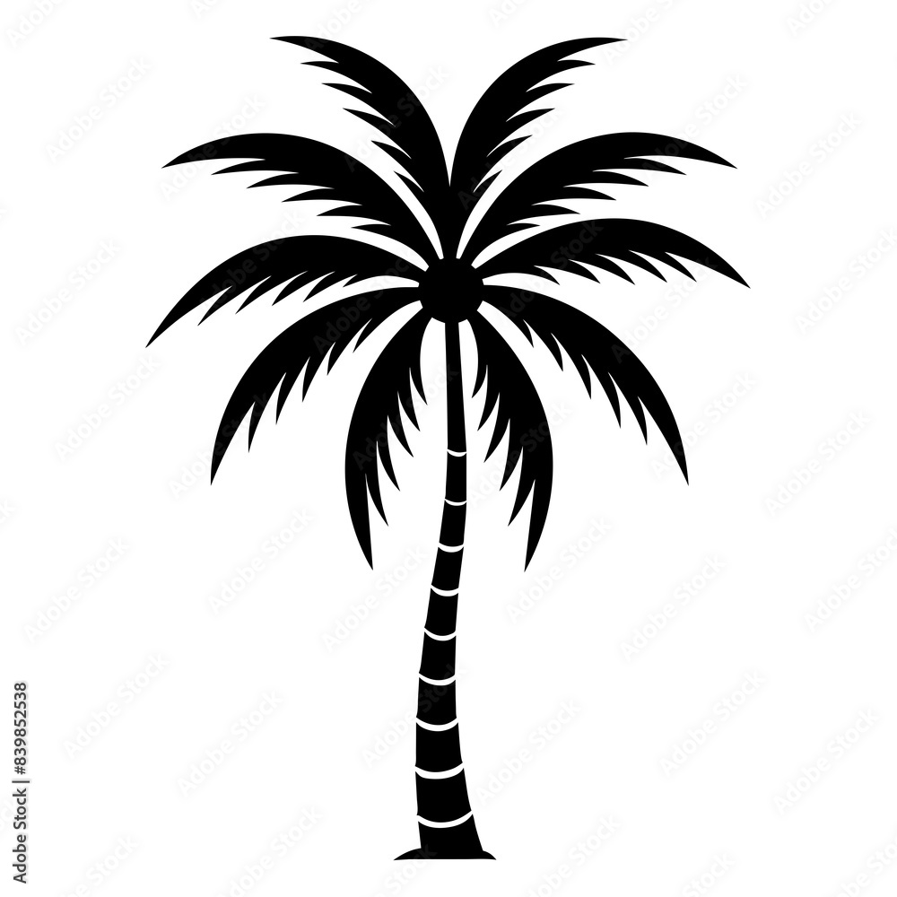 Minimalistic coconut tree black and white vector art silhouette illustration Minimalistic coconut tree black and white vector art silhouette illustration