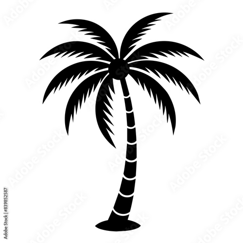 palm trees silhouettes