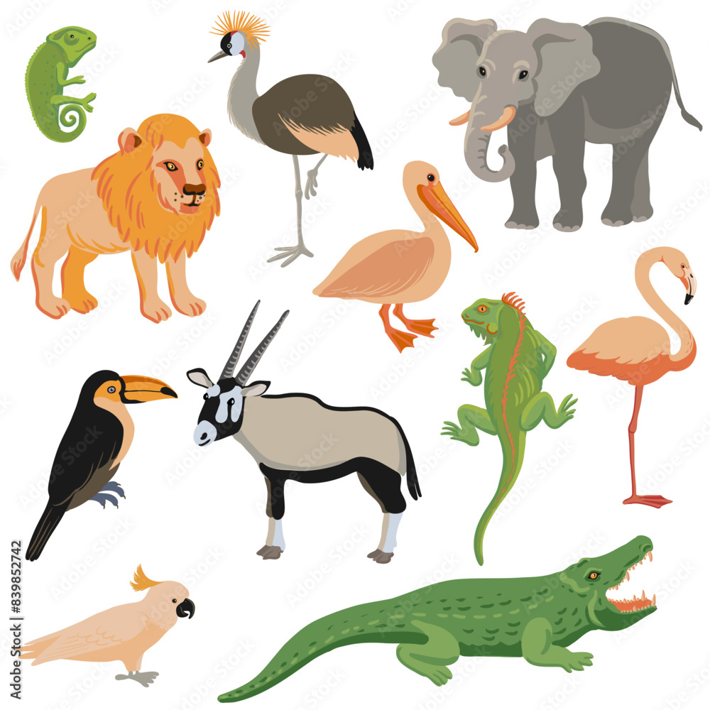 Obraz premium vector drawing set of tropical animals and birds isolated at white background, hand drawn illustration