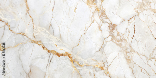 A detailed close-up of a white marble surface with intricate veining. The marble has a smooth, polished finish, showcasing its natural elegance and luxurious appeal