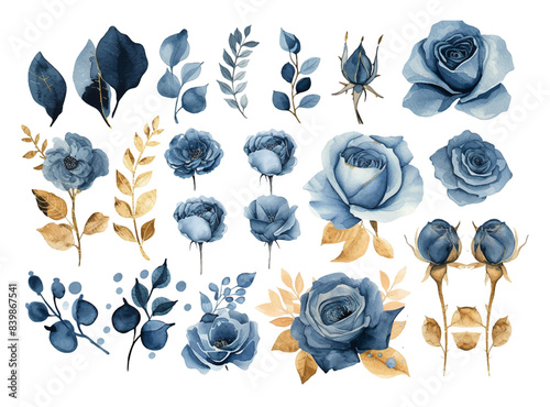 Rose flowers watercolor set. Collection of blue or navy blue roses and gold leaves isolated on white background. Vector illustration