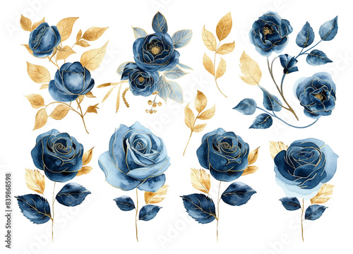 Rose flowers watercolor set. Collection of blue or navy blue roses and gold leaves isolated on white background. Vector illustration