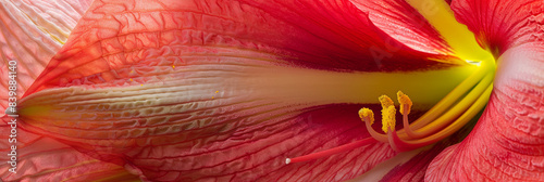 close up of an amaryllis flower, generative AI