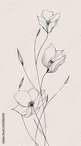 Abstract minimalistic Boho Bohemian elements design vector line art with a solid monochromatic background