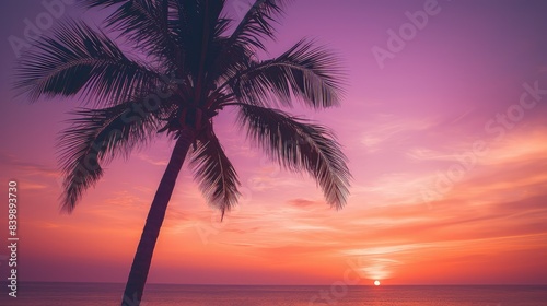 orange palm tree pink photo