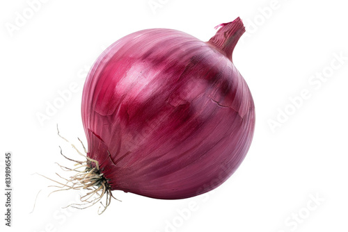 Single Red Onion Isometric on white background