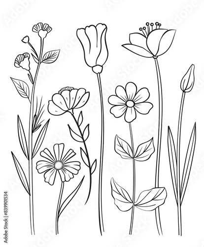 Simple coloring book, cartoon style drawings of different types of flowers, simple line art with thick lines and low detail, no shading, white background, flat design,
