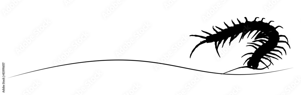 line art centipede stlye halloween day line art centipede stlye halloween day