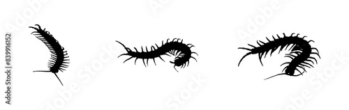 line art centipede stlye halloween day