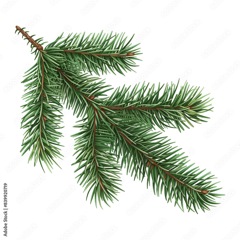 Spruce branch. Green fir. Realistic Christmas tree png Spruce branch. Green fir. Realistic Christmas tree png