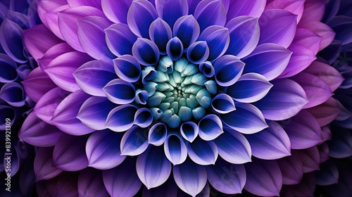vibrant geometric purple blue