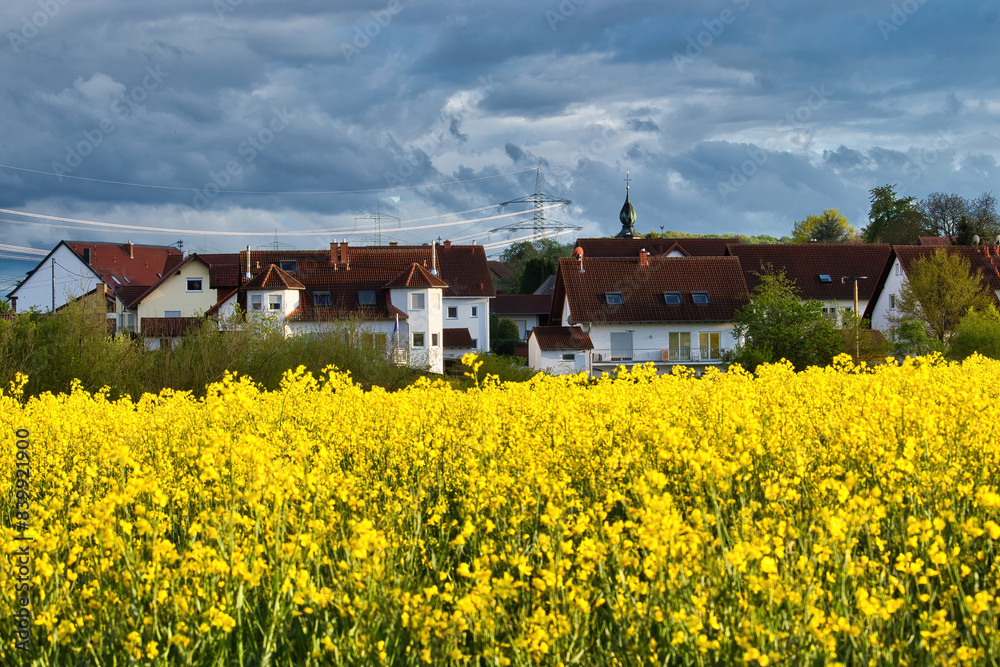 Houses in Lohnsfeld, Germany and blooming rapeseed field on a spring evening.