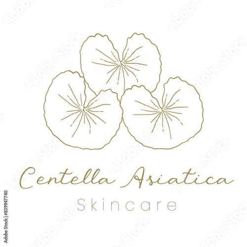 Gotu Kola ( Centella Asiatica ) Beautifull and Natural Skincare Logo
