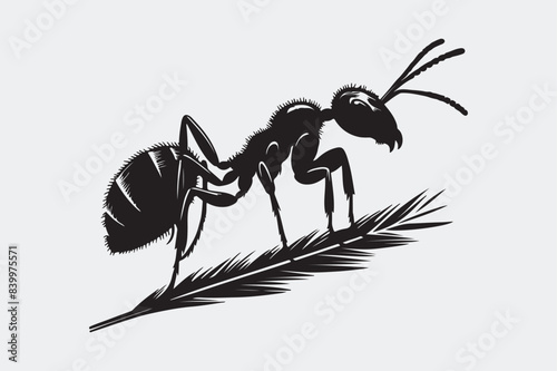 Ant Silhouette vector illustration  photo