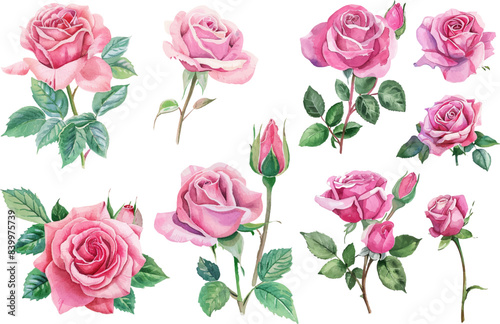 watercolor pink rose flower bouquet for valentines day