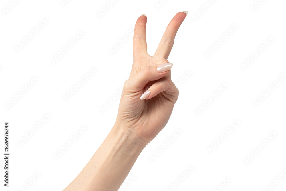 Woman hands isolated on a white background. Woman hands isolated on a white background.