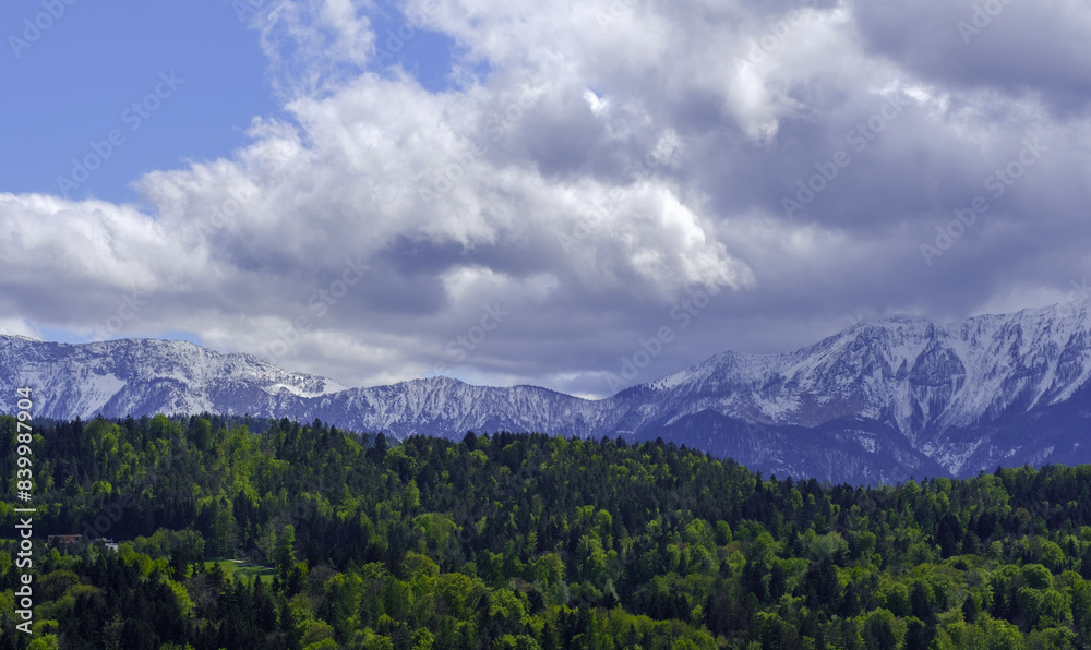 view of the mountains. Green forest with mountains in the background. Snow. view of the mountains. Green forest with mountains in the background. Snow.