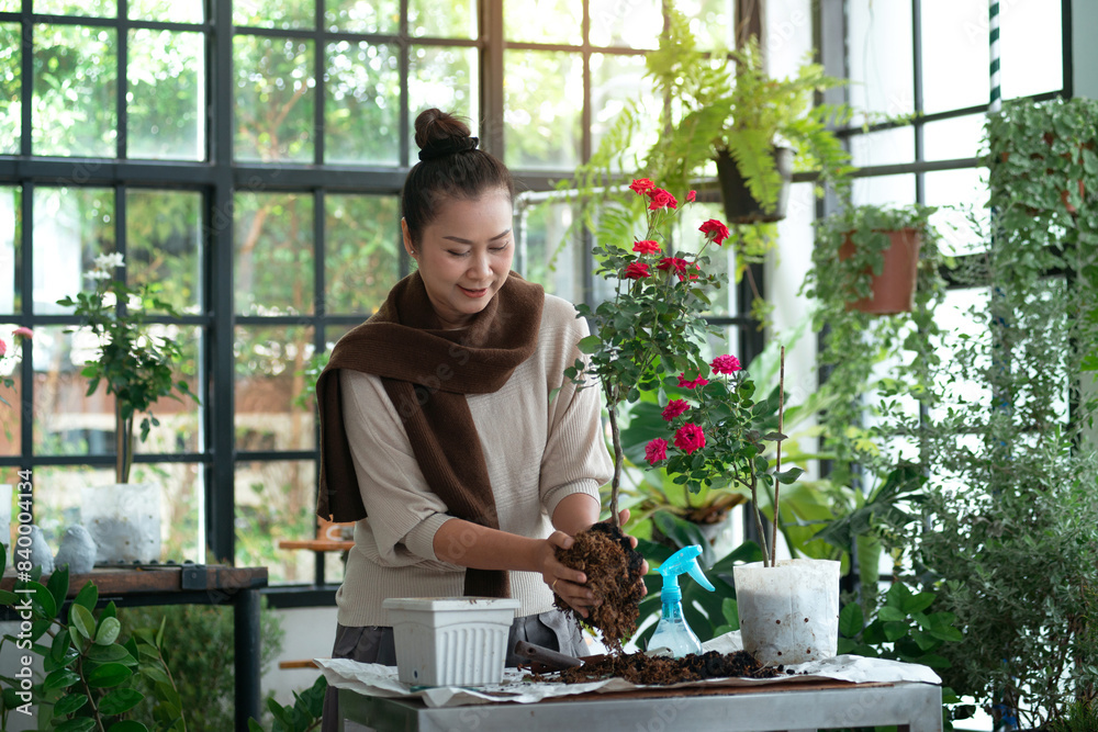 Middle-aged woman spent the holiday taking care of the indoor green house, happy woman loves plants and flowers enjoy leisure activities in the relaxing green house Middle-aged woman spent the holiday taking care of the indoor green house, happy woman loves plants and flowers enjoy leisure activities in the relaxing green house