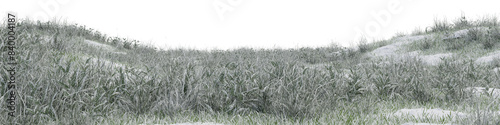 Plant and grass field with rock on snow ground in nature, Forest in winter on isolated transparent background - PNG file, 3D rendering illustration for create and design or etc