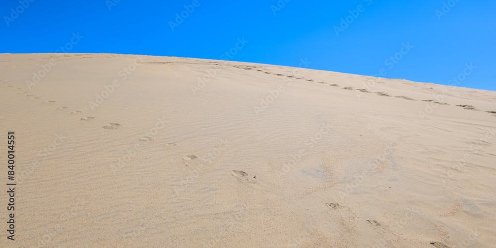 dune du pyla sandy natural mountain in arcachon bay france dune du pyla sandy natural mountain in arcachon bay france