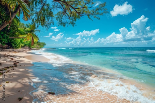 Sandy beach and clear ocean photo