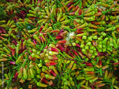 Ripe and freshly harvested cloves