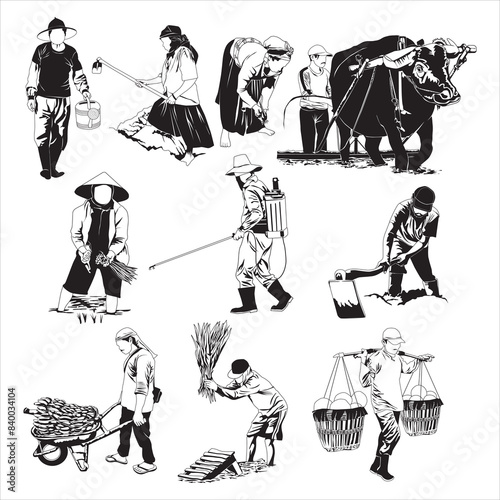 Traditional farmers use simple farming technology