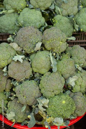 broccoli on the market