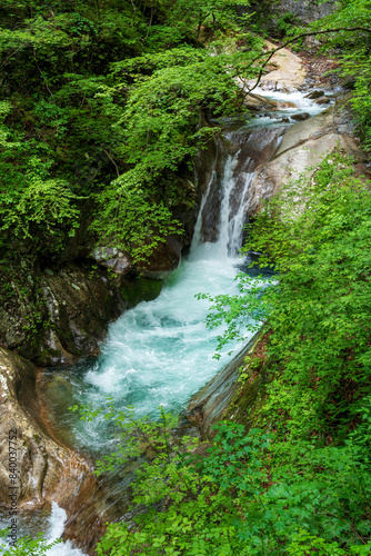新緑の西沢渓谷貞泉の滝
