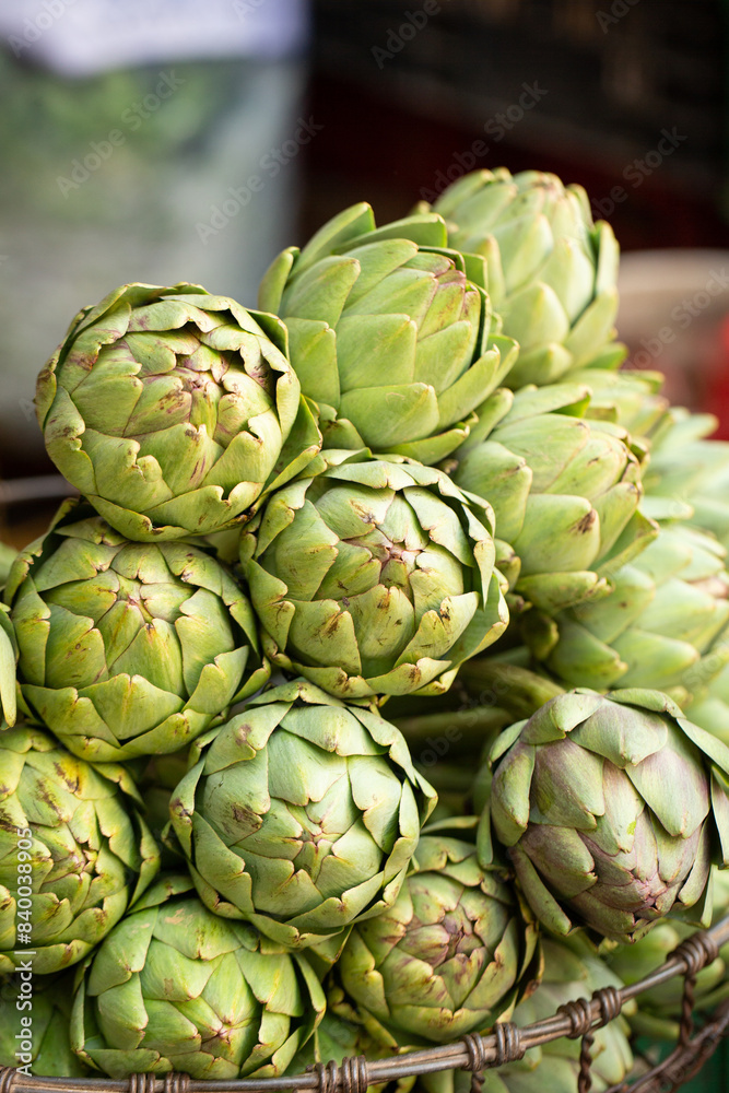 Fototapeta premium artichoke, camus de Bretagne 