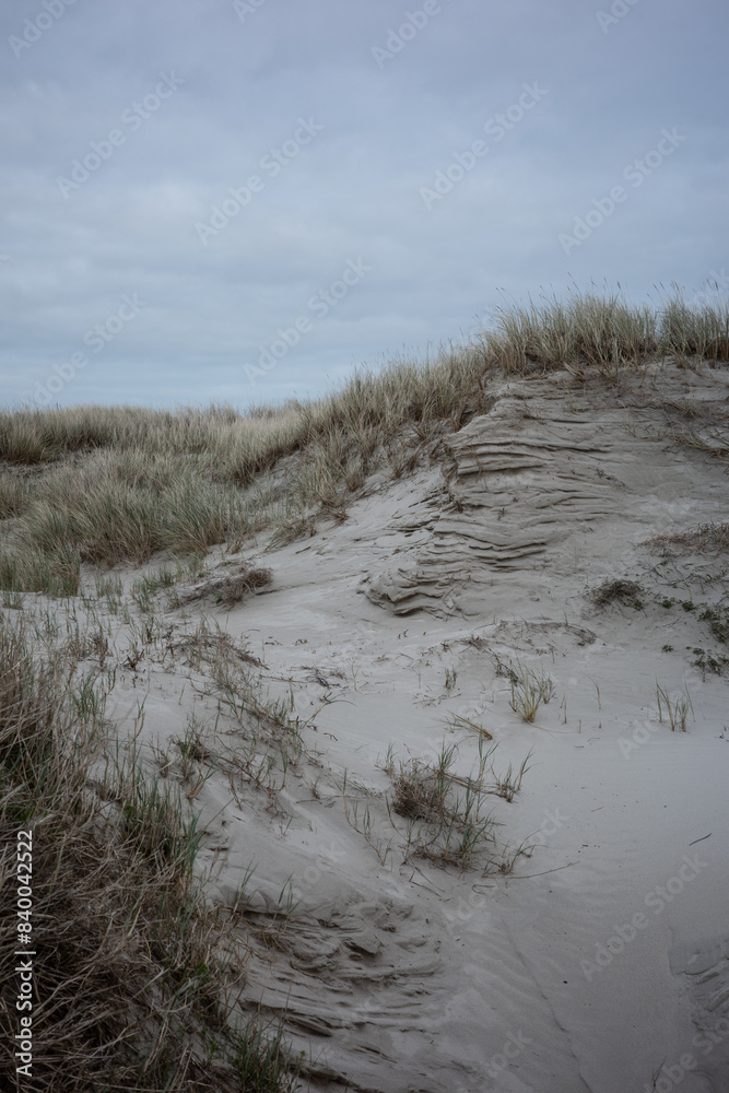 landscape of dunes on the North Sea in Germany landscape of dunes on the North Sea in Germany