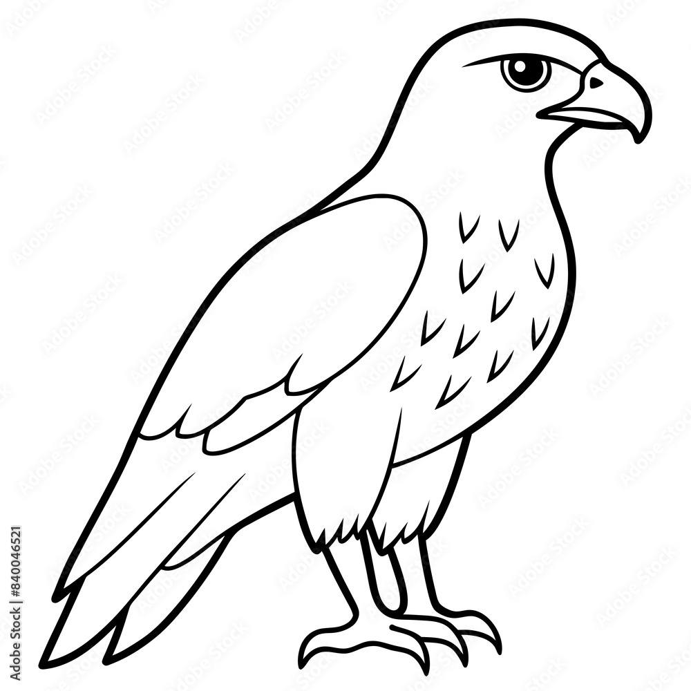 Fototapeta premium parrot line art vector illustration.