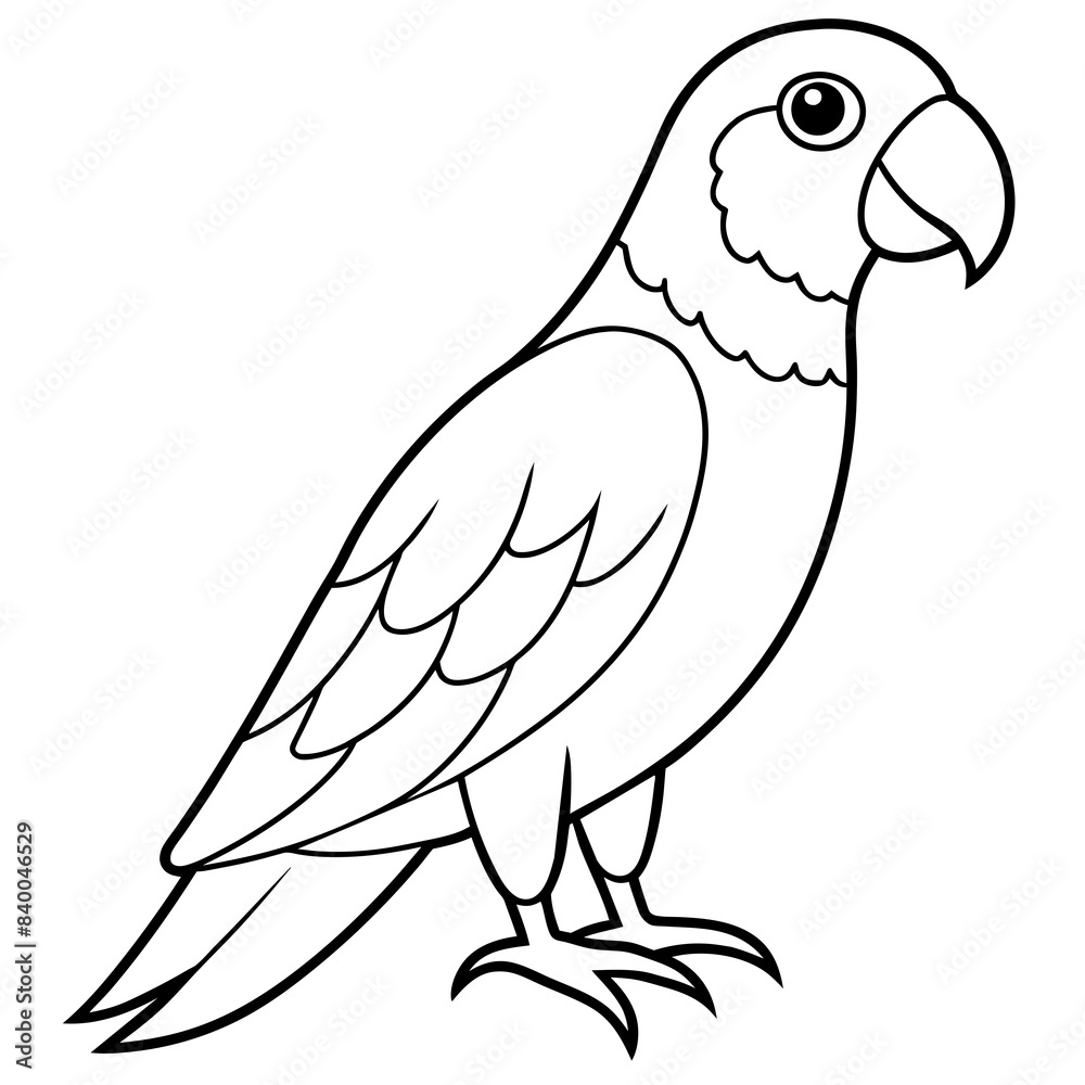 Obraz premium parrot line art vector illustration.