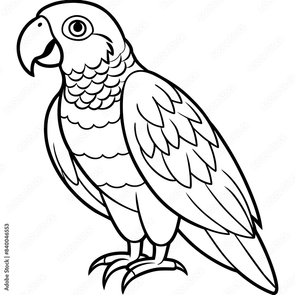 Obraz premium parrot line art vector illustration.