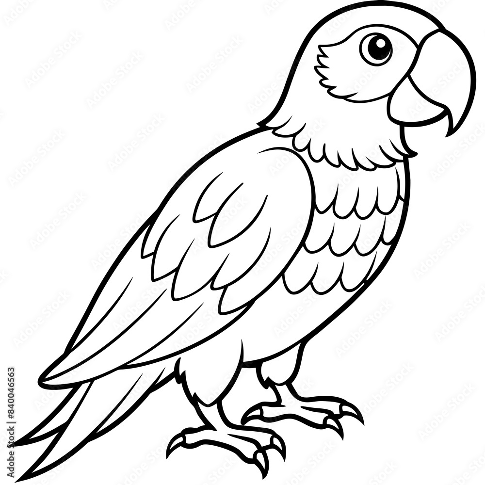 parrot line art vector illustration. parrot line art vector illustration.