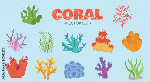 Coral Vector Set