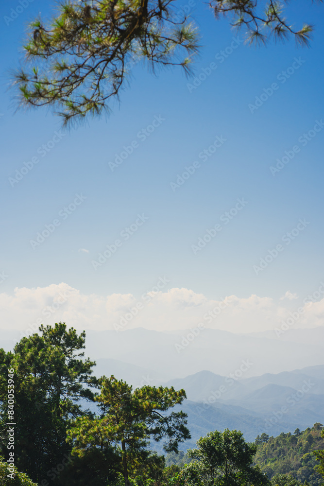 Obraz premium landscape and travel concept with solo freelancer man sit on wooden and use tablet work from outdoor with layer of mountain background