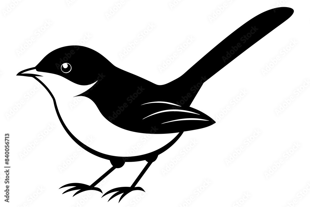 fairy wren silhouette vector illustration fairy wren silhouette vector illustration