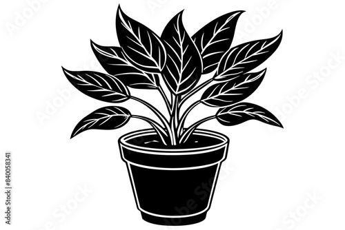 potted plant silhouette vector illustration