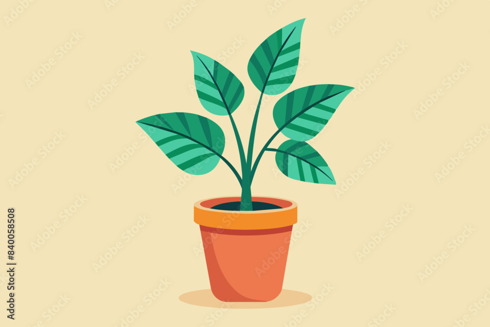 potted plant vector illustration potted plant vector illustration
