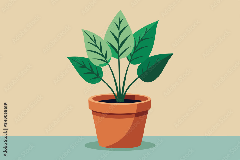 potted plant vector illustration potted plant vector illustration