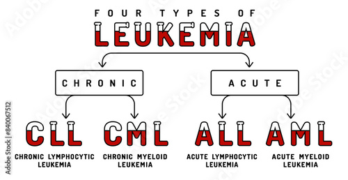 Four types of leukemia. Acute myeloid, chronic lymphocytic type.