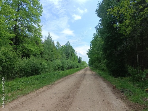 Road in forest in Siauliai county during sunny summer day. Oak and birch tree woodland. Sunny day with white clouds in blue sky. Bushes are growing in woods. Sandy road. Nature. Summer season. Miskas. photo