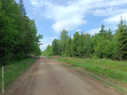 Road in forest in Siauliai county during sunny summer day. Oak and birch tree woodland. Sunny day with white clouds in blue sky. Bushes are growing in woods. Sandy road. Nature. Summer season. Miskas.