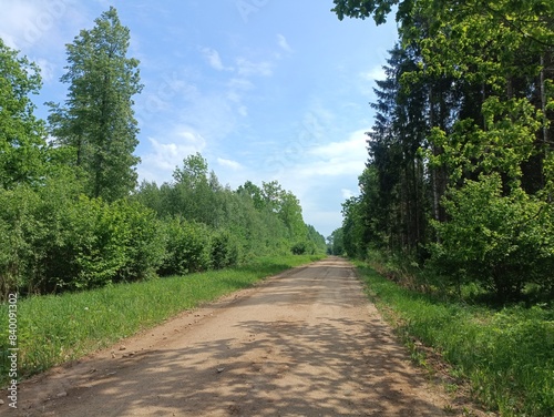 Road in forest in Siauliai county during sunny summer day. Oak and birch tree woodland. Sunny day with white clouds in blue sky. Bushes are growing in woods. Sandy road. Nature. Summer season. Miskas. photo