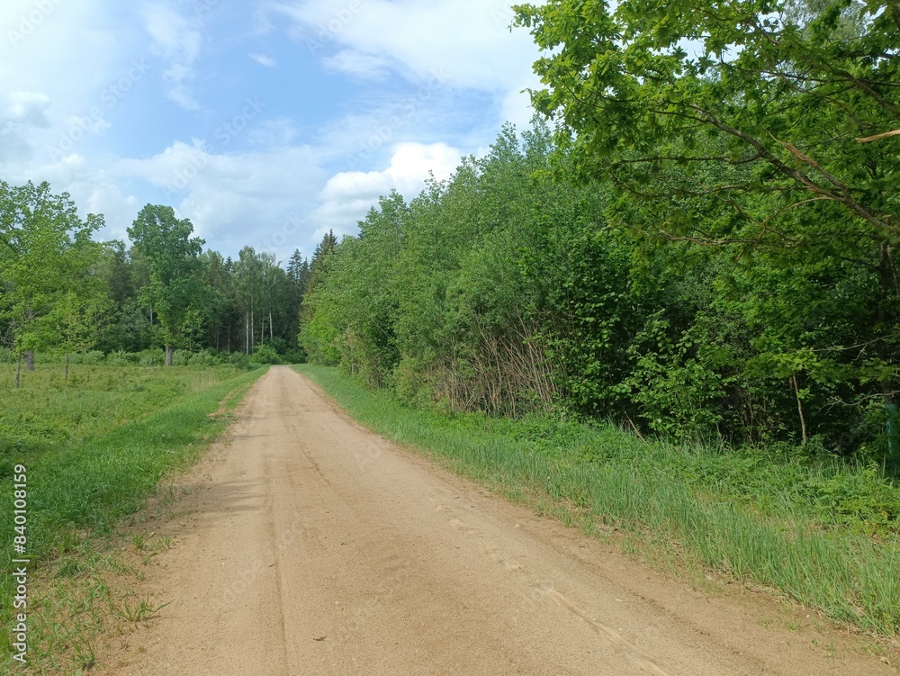 Road in forest in Siauliai county during sunny summer day. Oak and birch tree woodland. Sunny day with white clouds in blue sky. Bushes are growing in woods. Sandy road. Nature. Summer season. Miskas. Road in forest in Siauliai county during sunny summer day. Oak and birch tree woodland. Sunny day with white clouds in blue sky. Bushes are growing in woods. Sandy road. Nature. Summer season. Miskas.