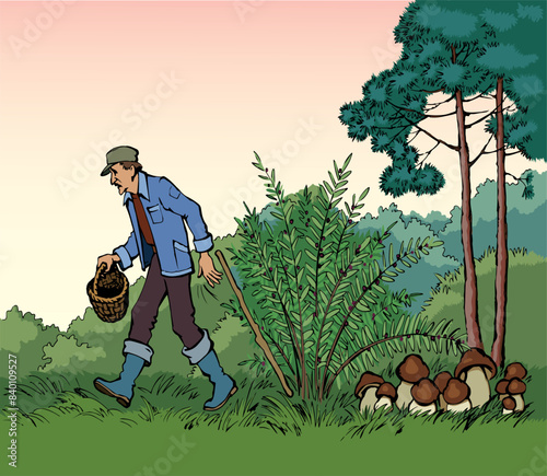 Vector drawing. Man picking mushrooms in the forest